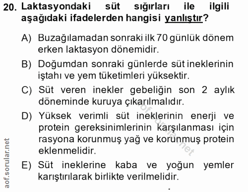 20. soru: Laktasyondaki süt sığırları ile ilgili aşağıdaki ifadelerden hangisi yanlıştır? A) Buzağılamadan sonraki ilk 70 günlü…