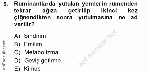 5. soru: Ruminantlarda yutulan yemlerin rumenden tekrar ağıza getirilip ikinci kez çiğnendikten sonra yutulmasına ne ad verili…