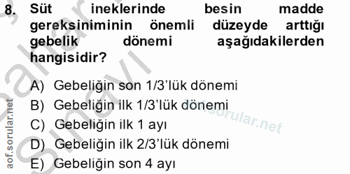 8. soru: Süt ineklerinde besin madde gereksiniminin önemli düzeyde arttiğı gebelik dönemi aşağıdakilerden hangisidir? A) Gebel…