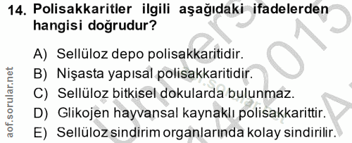 14. soru: Polisakkaritler ilgili aşağıdaki ifadelerden hangisi doğrudur? A) Sellüloz depo polisakkaritidir. B) Nişasta yapısal…