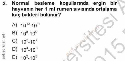 3. soru: Normal besleme koşullarında ergin bir hayvanın her 1 ml rumen sıvısında ortalama kaç bakteri bulunur? A) 1010 -10" si…