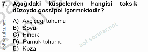 7. soru: Aşağıdaki küpelerden hangisi toksik düzeyde gossipol içermektedir? A) Ayçiçeği tohumu B) Soya C) Findık D) Pamuk tohu…
