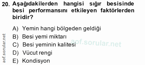 20. soru: Aşağıdakilerden hangisi sığır besisinde besi performansını etkileyen faktörlerden biridir? A) Yemin hangi bölgeden ge…
