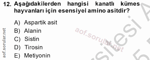 12. soru: Aşağıdakilerden hangisi kanatlı kümes hayvanları için esensiyel amino asitdir? A) Aspartik asit B) Alanin aof.sorujak…