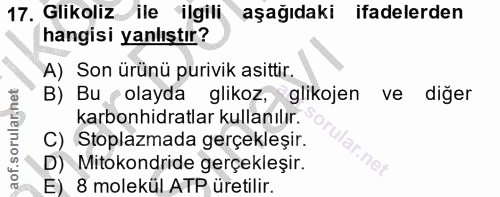 17. soru: Glikoliz ile ilgili aşağıdaki ifadelerden hangisi yanlıştır? A) Son ürünü purivik asittir. B) Bu < olayda glikoz, gli…