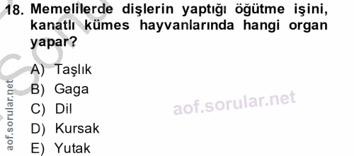 18. soru: Memelilerde dişlerin yaptığı öğütme işini, kanatlı kümes hayvanlarında hangi organ yapar? A) Taşlık B) Gaga C) Dil D)…