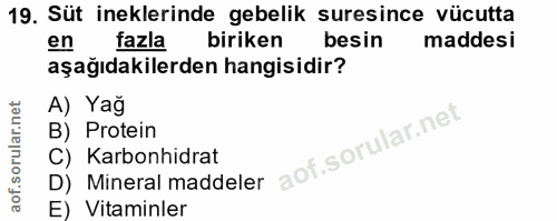 19. soru: Süt ineklerinde gebelik suresince vücutta en fazla biriken besin maddesi aşağıdakilerden hangisidir? A) Yağ B) Protei…