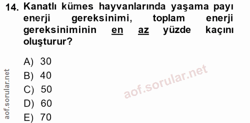 14. soru: Kanatlı kümes hayvanlarında yaşama payı enerji gereksinimi, toplam enerji gereksiniminin en az yüzde kaçını oluşturur…