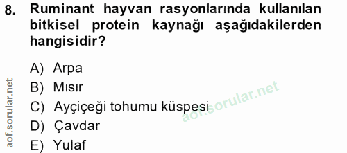 8. soru: Ruminant hayvan rasyonlarında kullanılan bitkisel protein kaynağı aşağıdakilerden hangisidir? A) Arpa C) Ayçiçeği toh…