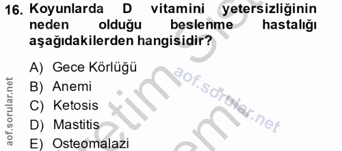 16. soru: Koyunlarda D vitamini yetersizliğinin neden olduğu beslenme hastalığı aşağıdakilerden hangisidir? A) Gece Körlüğü B)…