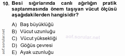 10. soru: Besi sığırlarında canlı ağırlığın pratik saptanmasında önem taşıyan vücut ölçüsü aşağıdakilerden hangisidir? A) Baş b…