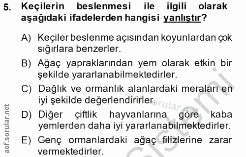 5. soru: Keçilerin beslenmesi ile ilgili olarak aşağıdaki ifadelerden hangisi yanlıştır? A) Keçiler beslenme açısından koyunla…