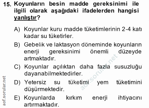 15. soru: Koyunların besin madde gereksinimi ile ilgili olarak aşağıdaki ifadelerden hangisi yanlıştır? A) Koyunlar kuru madde…