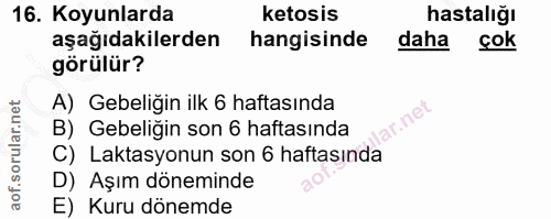 16. soru: Koyunlarda Ketosis hastalığı aşağıdakilerden hangisinde daha cok görülür? A) Gebeliğin ilk 6 haftasında llar.net B) G…