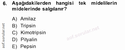 6. soru: Aşağıdakilerden hangisi tek midelilerin midelerinde salgılanır? A) Amilaz B) Tripsin C) Kimotripsin D) Pityalin E) Pe…