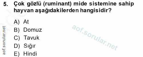 5. soru: Çok gözlü (ruminant) mide sistemine sahip hayvan aşağıdakilerden hangisidir? A) At B) Domuz C) Tavuk D) Sığır E) Hindi