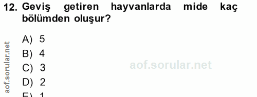 12. soru: Geviş getiren hayvanlarda mide kaç bölümden oluşur? A) 5 B) 4 C) 3 of. D) 2