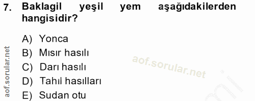 7. soru: Baklagil yeşil yem aşağıdakilerden hangisidir? A) Yonca B) Mısır hasılı C) Darı hasılı D) Tahil hasılları E) Sudan otu