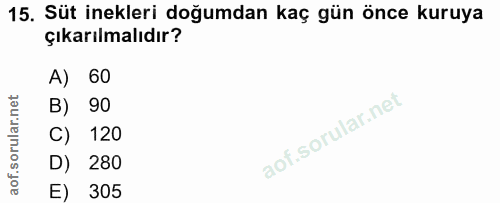 15. soru: Süt inekleri doğumdan kaç gün önce kuruya çıkarılmalıdır? A) 60 B) 90 120 D) 280 E) 305