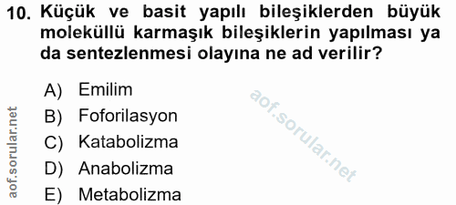 10. soru: Küçük ve basit yapılı bileşiklerden büyük moleküllü karmaşık bileşiklerin yapılması ya da sentezlemesi olayına ne ad…