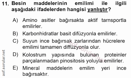 11. soru: Besin maddelerinin emilimi ile ilgili aşağıdaki ifadelerden hangisi yanlıştır? A) Amino asitler bağırsakta aktif tars…