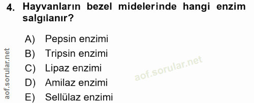 4. soru: Hayvanların bezel midelerinde hangi enzim salgılanır? A) Pepsin enzimi B) Tripsin enzimi C) Lipaz enzimi D) Amilaz en…