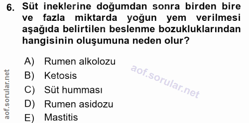 6. soru: Süt ineklerine doğumdan sonra birden bire ve fazla miktarda yoğun yem verilmesi aşağıda belirtilen beslenme bozuklukl…