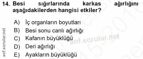 14. soru: Besi sığırlarında karkas ağırlığını aşağıdakilerden hangisi etkiler? A) İç organların boyutları Besi sonu canlı ağırl…