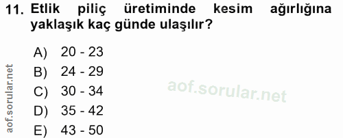 11. soru: Etlik piliç üretiminde kesim ağırlığına yaklaşık kaç günde ulaşılır? A) 20 - 23 B) 24 - 29 C) 30 - 34 D) 35 - 42 E) 4…