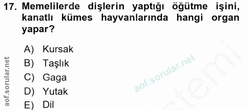 17. soru: Memelilerde dişlerin yaptığı öğütme işini, kanatlı kümes hayvanlarında hangi organ yapar? A) Kursak B) Taşlık C) Gaga…