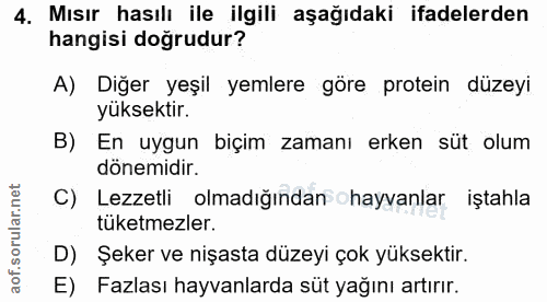 4. soru: Mısır hasılı ile ilgili aşağıdaki ifadelerden hangisi doğrudur? A) Diğer yeşil yemlere göre protein düzeyi yüksektir.…