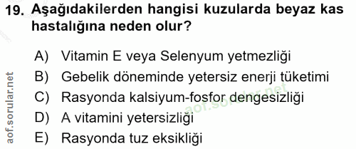 19. soru: Aşağıdakilerden hangisi kuzularda beyaz kas hastalığına neden olur? A) Vitamin E veya Selenyum yetmezliği B) Gebelik…