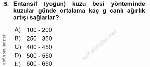 5. soru: Entansif (yoğun) kuzu besi yönteminde kuzular günde ortalama kaç g canlı ağırlık artışı sağlarlar? A) 100 - 200 B) 25…