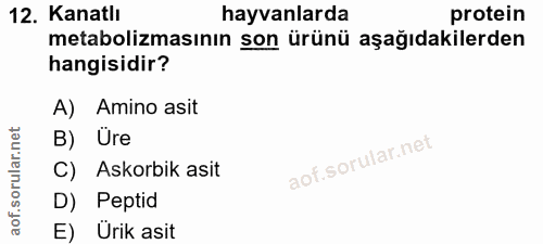 12. soru: Kanatlı hayvanlarda protein metabolizmasının son ürünü aşağıdakilerden hangisidir? A) Amino asit B) Üre C) Askorbik a…