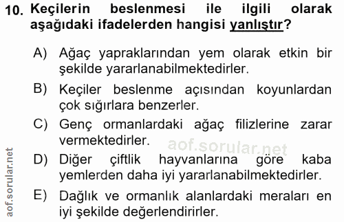 10. soru: Keçilerin beslenmesi ile ilgili olarak aşağıdaki ifadelerden hangisi yanlıştır? A) Ağaç yapraklarından yem olarak etk…