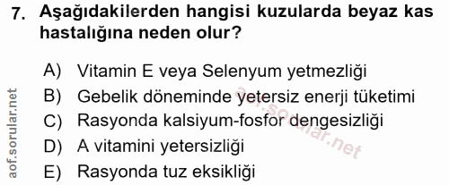 7. soru: Aşağıdakilerden hangisi kuzularda beyaz kas hastalığına neden olur? A) Vitamin E veya Selenyum yetmezliği B) Gebelik…