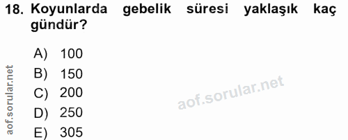 18. soru: Koyunlarda gebelik süresi yaklaşık kaç gündür? A) 100 B) 150 C) 200 D) 250 E) 305