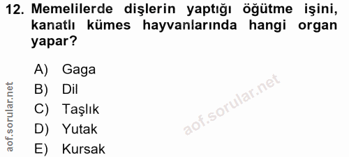12. soru: Memelilerde dişlerin yaptığı öğütme işini, kanatlı kümes hayvanlarında hangi organ yapar? A) Gaga B) Dil C) Taşlık D)…