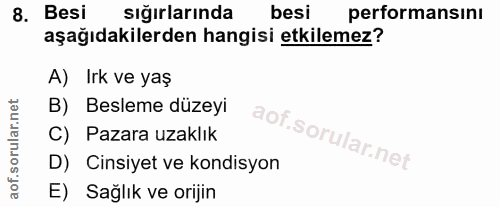 8. soru: Besi sığırlarında besi performansını aşağıdakilerden hangisi etkilemez? A) Irk ve yaş B) Besleme düzeyi C) Pazara uza…