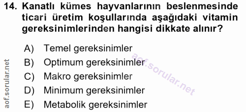 14. soru: Kanatlı kümes hayvanlarının beslenmesinde ticari üretim koşullarında aşağıdaki vitamin gereksinimlerinden hangisi dik…