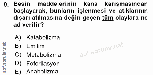 9. soru: Besin maddelerinin kana karışmasından başlayarak, bunların işlenmesi ve atıklarının dışarı atılmasına değin geçen tüm…