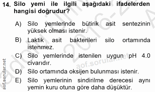 14. soru: Silo yemi ile ilgili aşağıdaki ifadelerden hangisi doğrudur? A) Silo yemlerinde bütirik asit sentezinin yüksek olması…