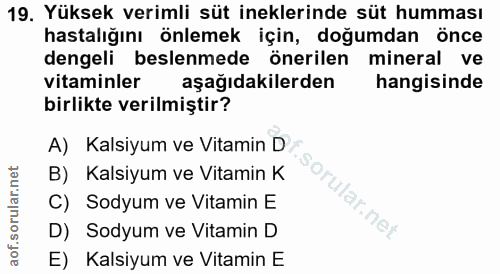 19. soru: Yüksek verimli süt ineklerinde süt humması hastalığını önlemek için, doğumdan önce dengeli beslenmede önerilen minera…