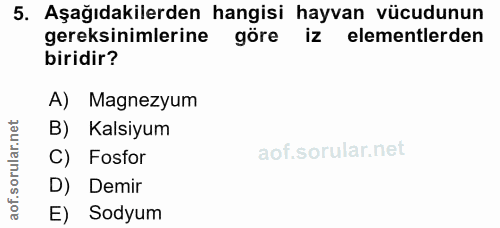 5. soru: Aşağıdakilerden hangisi hayvan vücudunun gereksinimlerine göre elementlerden biridir? A) Magnezyum B) Kalsiyum aof.so…