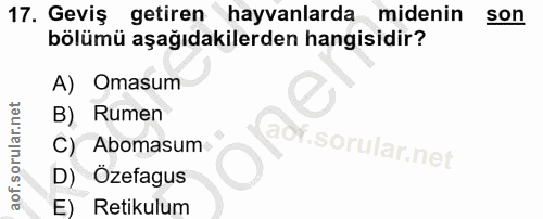 17. soru: Geviş getiren hayvanlarda midenin son bölümü aşağıdakilerden hangisidir? A) Omasum B) Rumen C) Abomasum D) Ozefagus E…