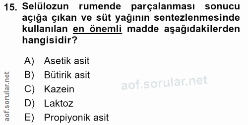 15. soru: Selülozun rumende parçalanması sonucu açığa çıkan ve süt yağının sentezlemesinde kullanılan en önemli madde aşağıdaki…