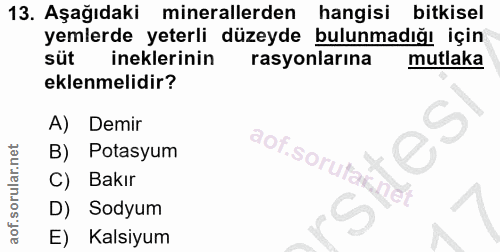 13. soru: Aşağıdaki minerallerden hangisi bitkisel yemlerde yeterli düzeyde bulunmadığı için süt ineklerinin rasyonlarına mutla…