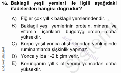 16. soru: Baklagil yeşil yemleri ile ilgili aşağıdaki ifadelerden hangisi doğrudur? A) Fiğler çok yıllık baklagil yemlerindendi…
