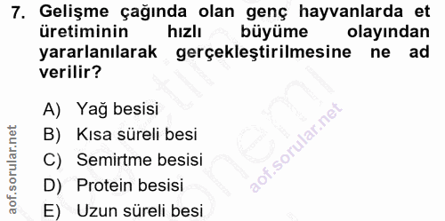 7. soru: Gelişme çağında olan genç hayvanlarda et üretiminin hizlı büyüme olayından yararlanılarak gerçekleştirilmesine ne ad…