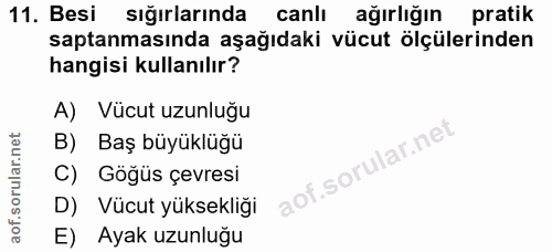 11. soru: Besi sığırlarında canlı ağırlığın pratik saptanmasında aşağıdaki vücut ölçülerinden hangisi kullanılır? A) Vücut uzun…